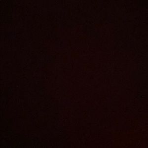 Meet your Posher, Sunny